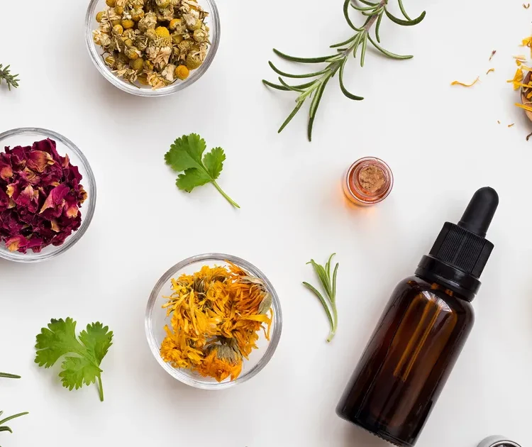Herbal Medicine for Anxiety Disorders - P2 Ventures